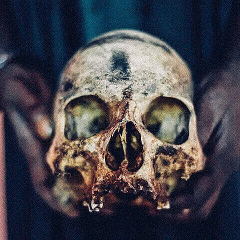 Flesh and Symbol: The History of Human Cannibalism
